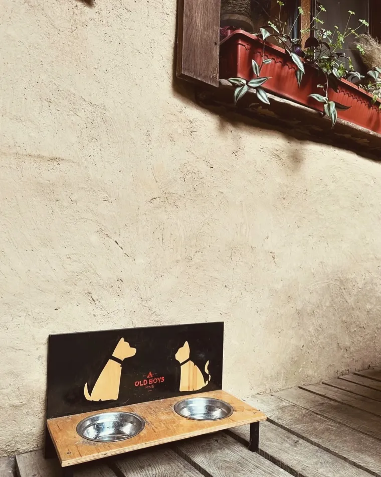 Old Boys 100 pet-friendly. Знаете почему Да потому что мы сами обожаем