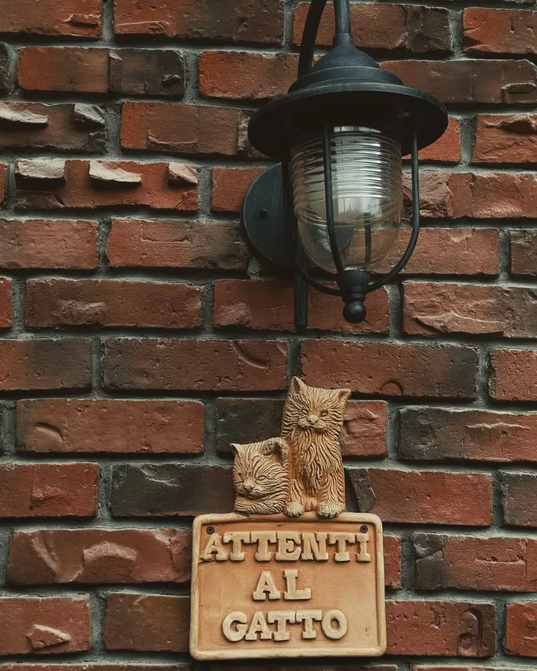 Old Boys 100 pet-friendly. Знаете почему Да потому что мы сами обожаем